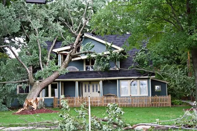 Large tree fallen onto a house after a storm